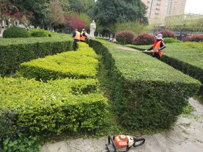 水富庭院绿化工程