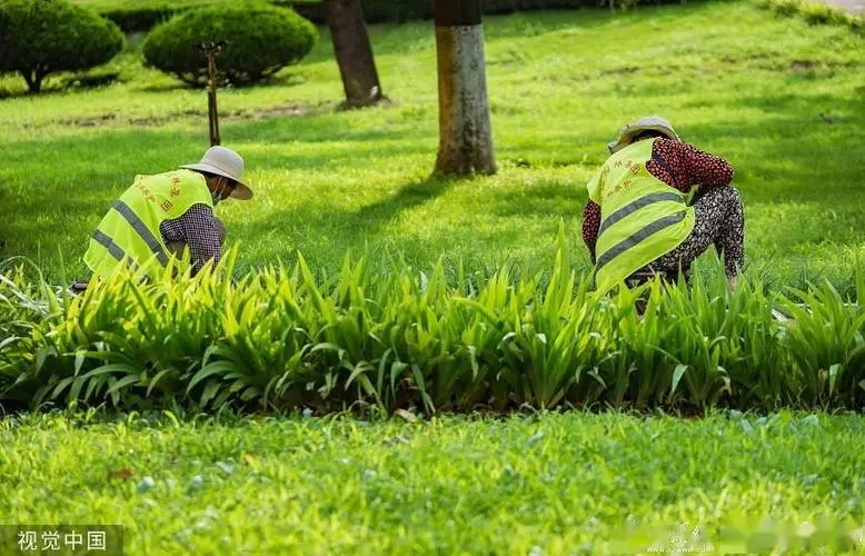 松花湖绿化工程