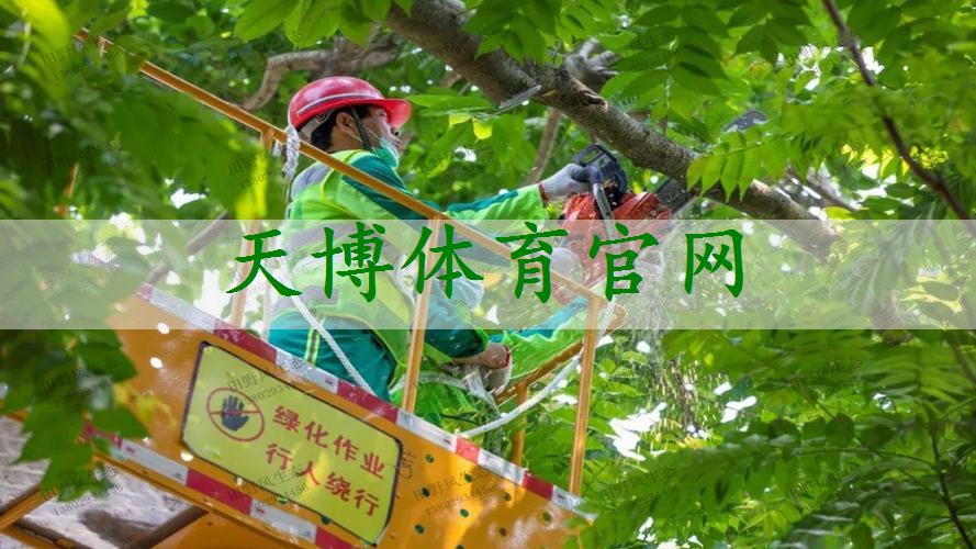 同江绿化苗木花卉市场在哪里